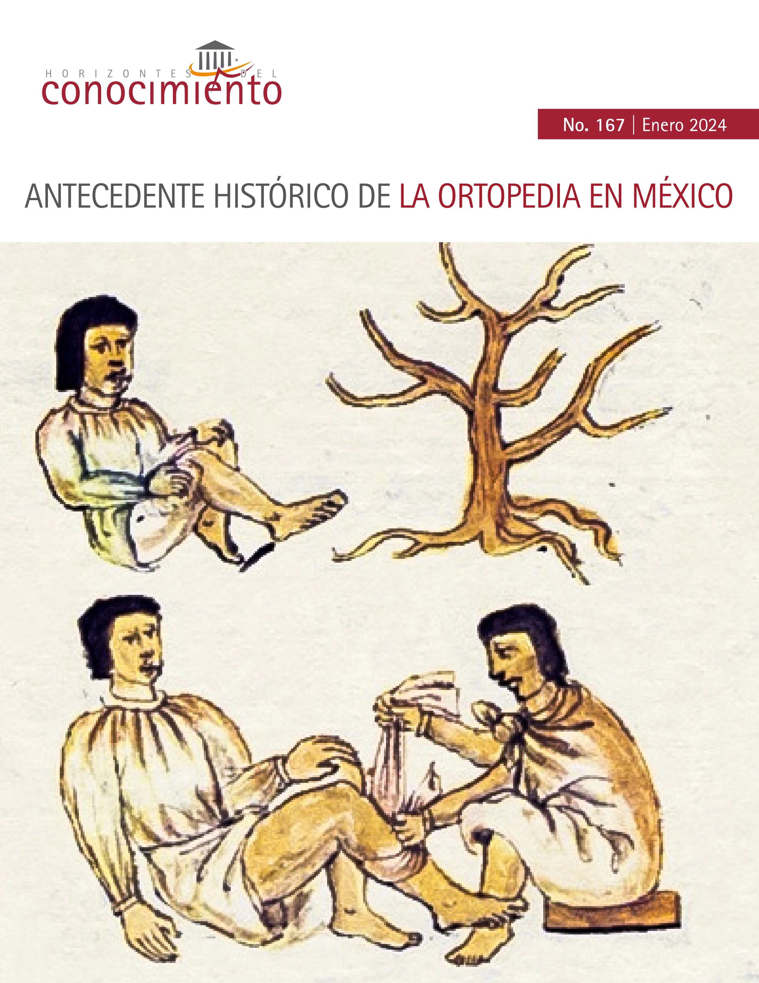 Portada Horizontes del Conocimiento No. 167 | Enero 2024